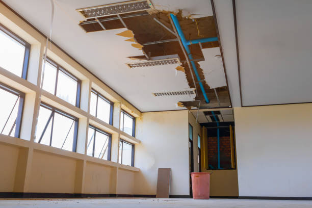 Best Water damage cleanup near me  in Morrisville, PA