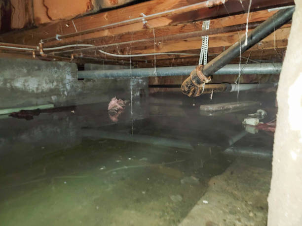 Best Flood restoration services  in Morrisville, PA
