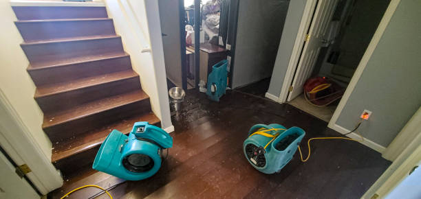 Best Ceiling water damage repair  in Morrisville, PA