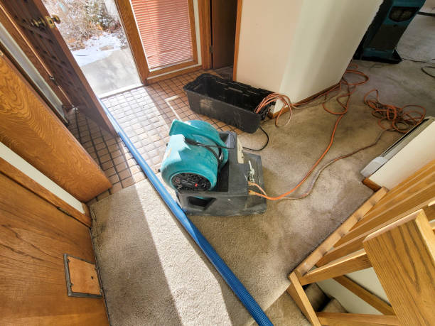 Best Commercial water damage restoration  in Morrisville, PA