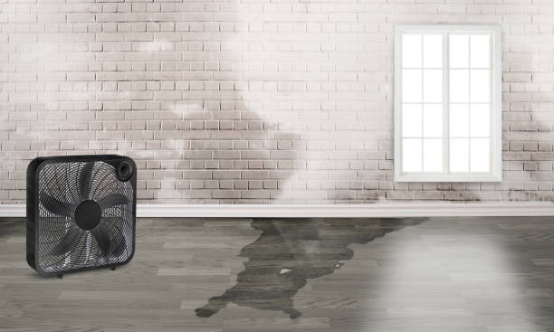 Best Fire Damage Restoration  in Morrisville, PA