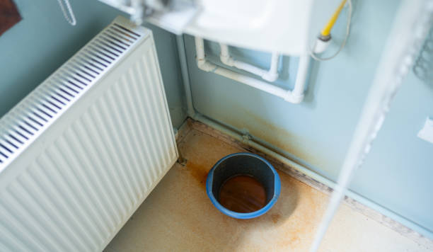Best Mold removal after water damage  in Morrisville, PA